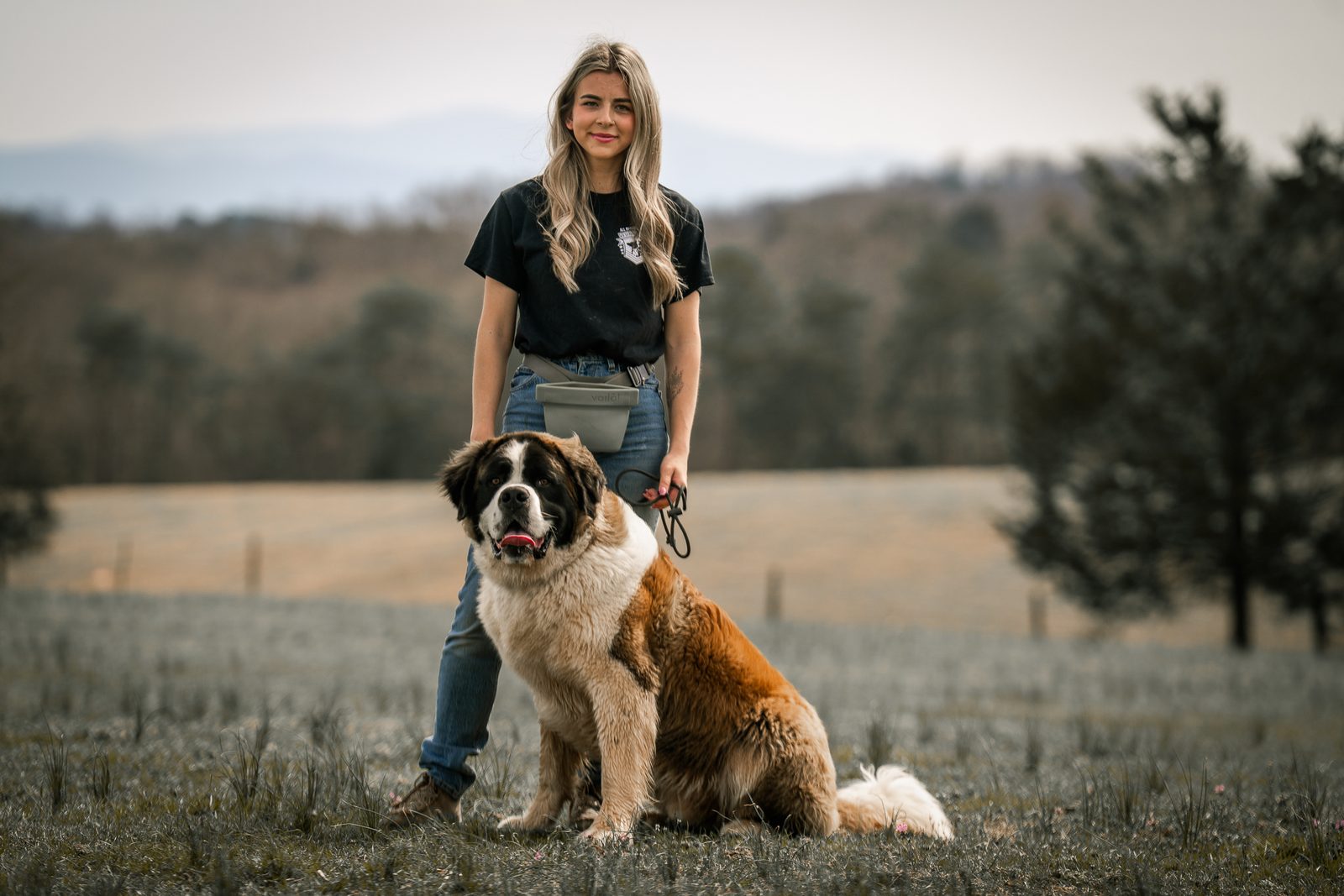 A trainer stands in a hilltop field with a seated Saint Bernard at her side