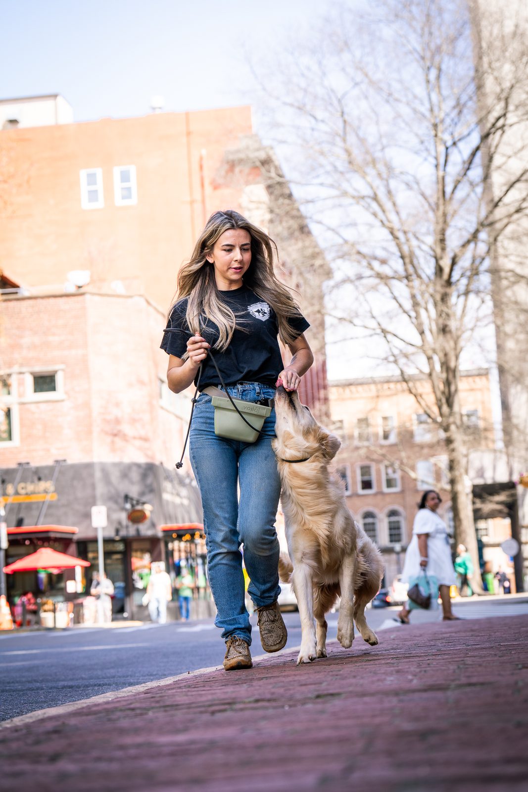 A trainer walking a young tan dog on leash along a brick street